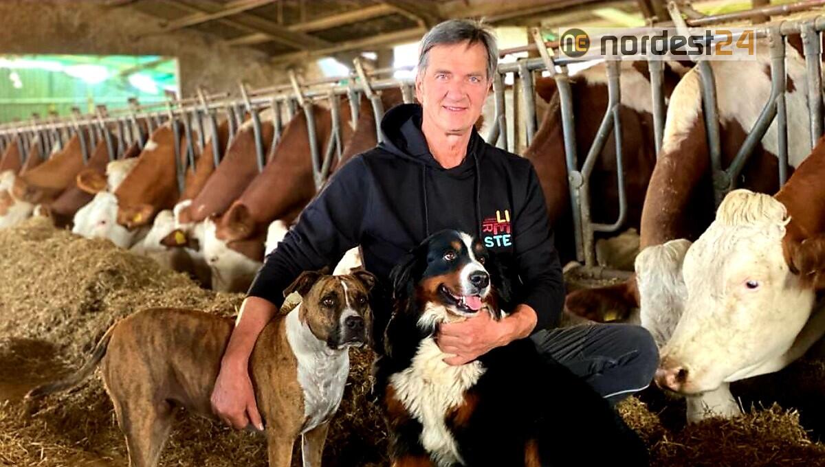 Allarme allevatori Fvg: "prezzo litro di latte alla stalla in picchiata" - 