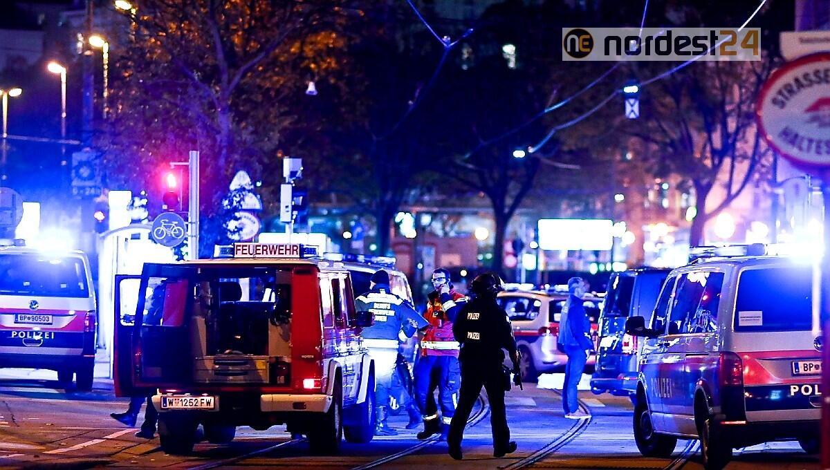 Spari nel centro di Vienna, vicino Sinagoga: 7 morti, un uomo in fuga - 