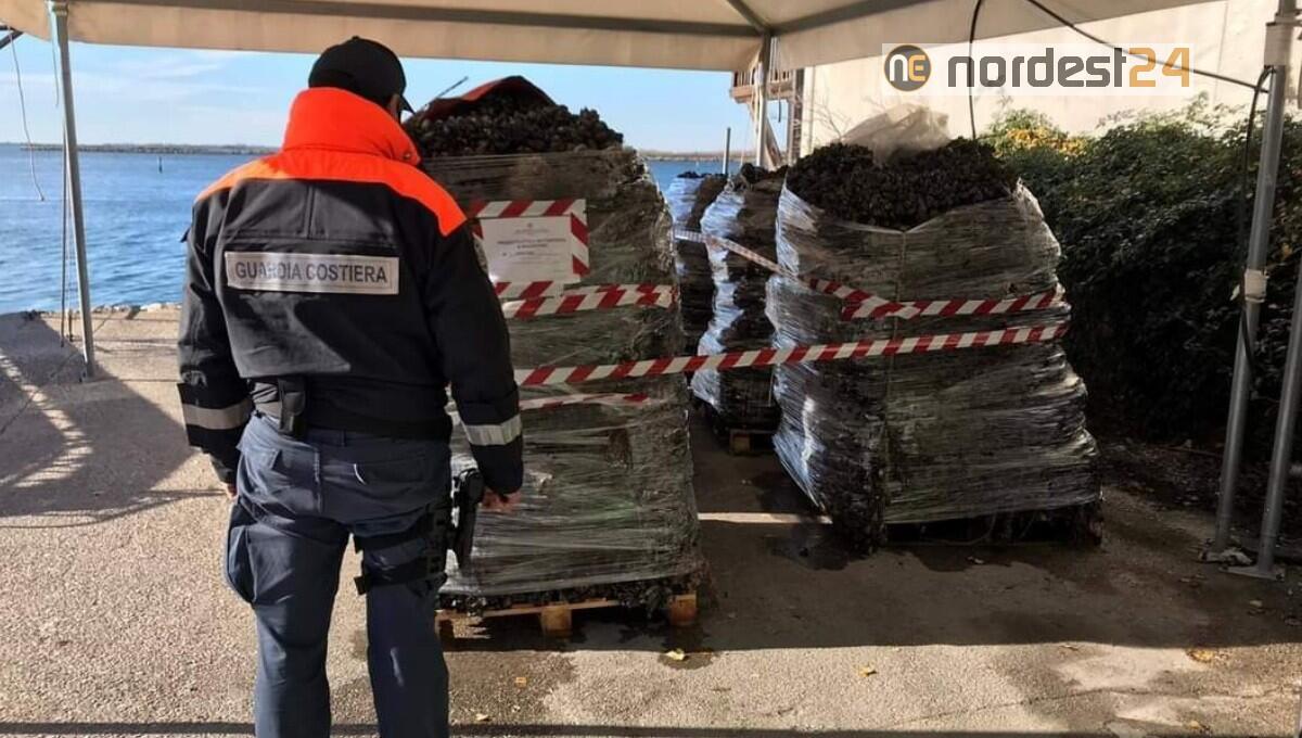 Muggia. Sequestrate oltre 4 tonnellate di cozze prive di tracciabilità - 