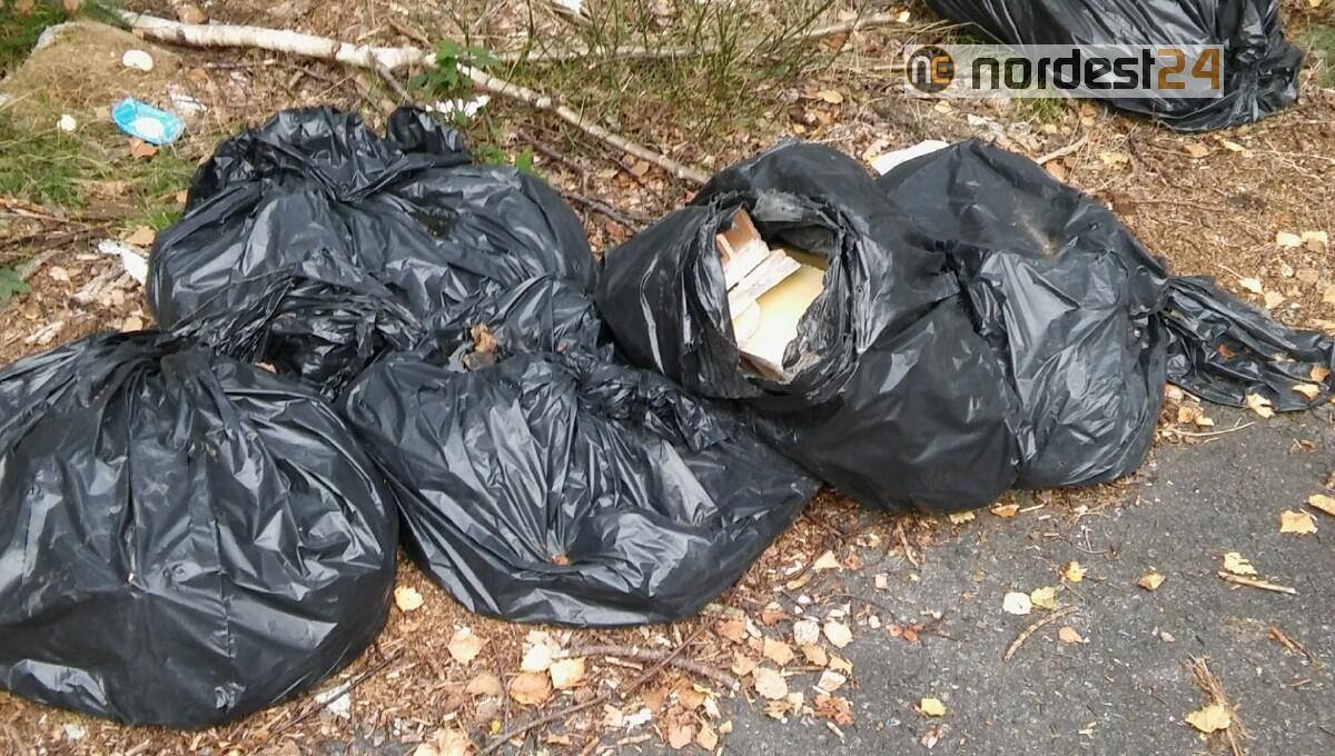 San Donà. Due pittori edili sorpresi a scaricare rifiuti in campagna - 