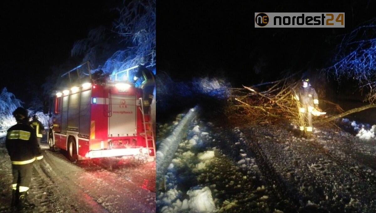 Tramonti di Sotto, la frazione Campone è isolata: ostruita la SP 57 dagli alberi - 
