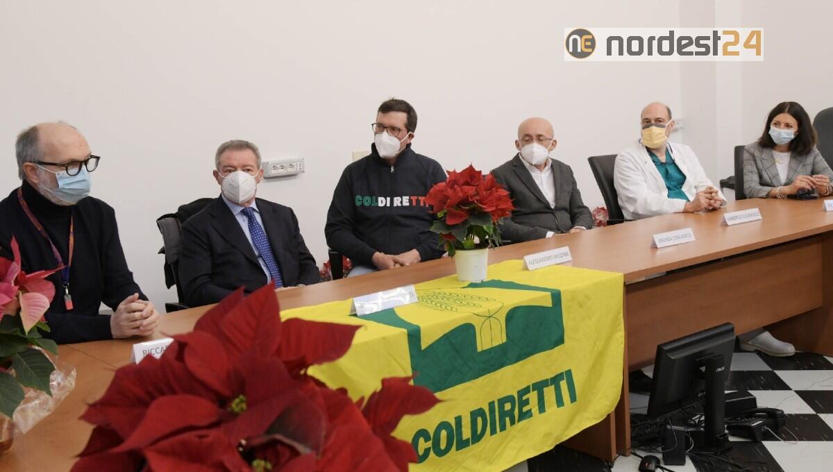 Covid, Fvg: 1500 stelle di Natale al Personale Sanitario - 