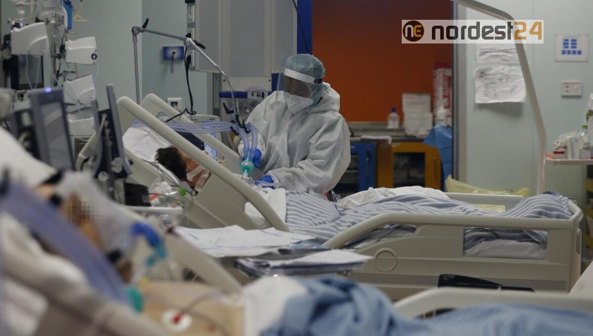 La poesia degli operatori sanitari Veronesi per i malati covid in terapia intensiva - 