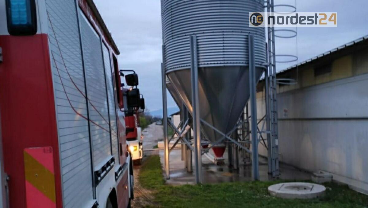 Valvasone. Polli senz'acqua nell'azienda agricola: 10mila litri grazie ai pompieri - 