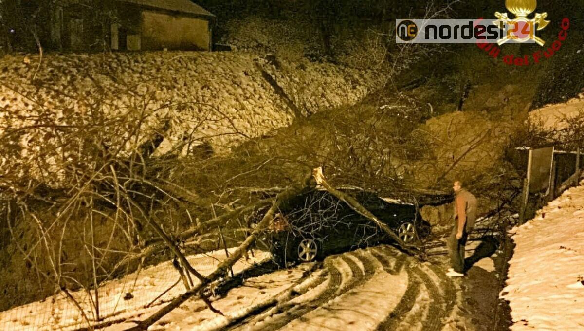 Frana a Castelnovo del Friuli: evacuati gli abitanti di Martiners - 