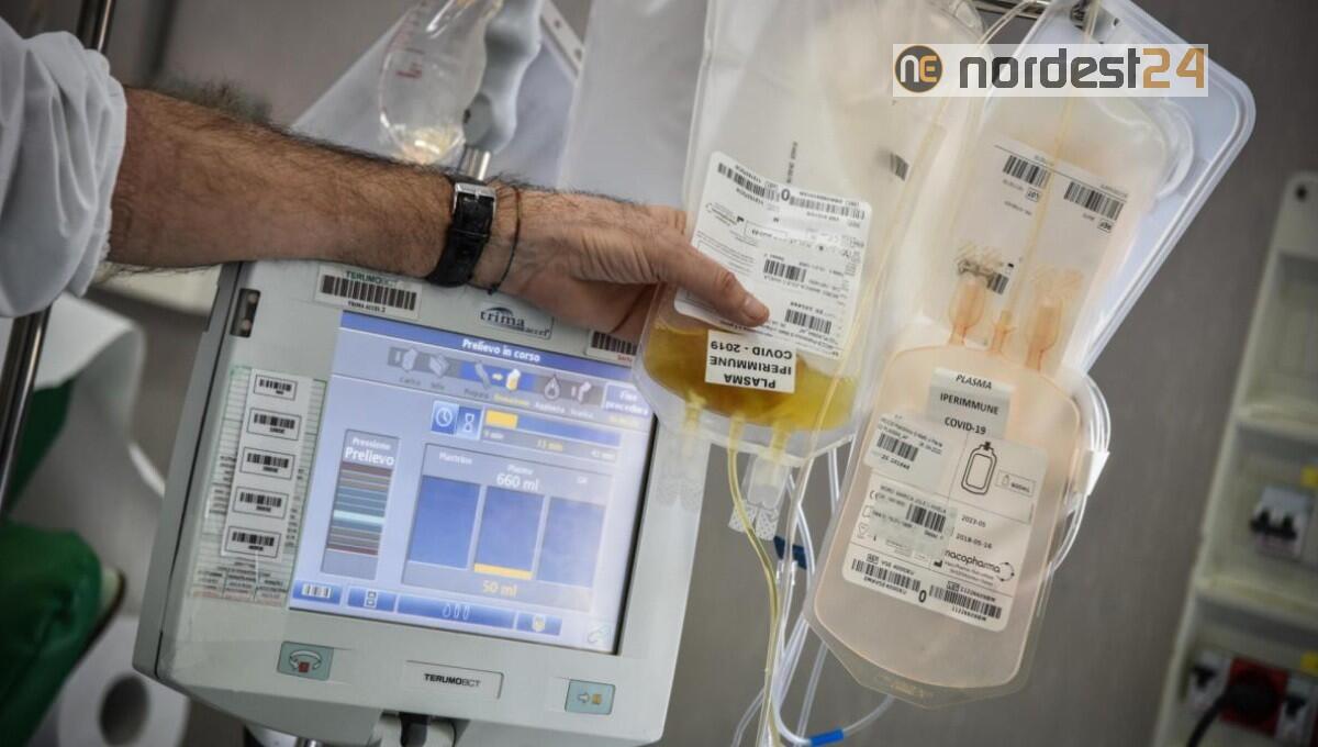 Covid, in Fvg è disponibile la terapia al plasma immune: le novità - 