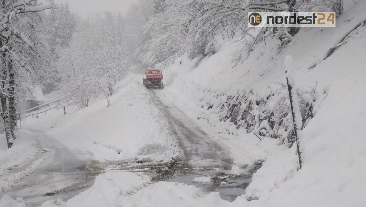 Riaperte le strade per le frazioni di Forni Avoltri, da giorni isolate - 