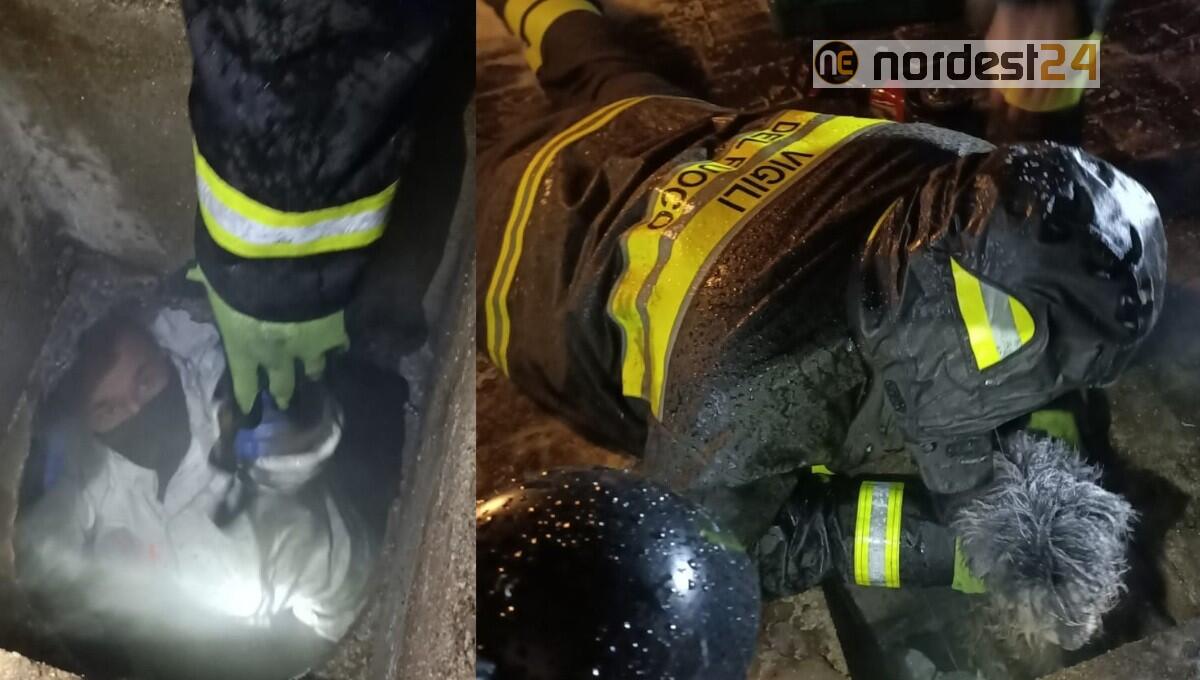 Cane finisce in  pozzetto profondo:  salvato dai Vigili del Fuoco - 