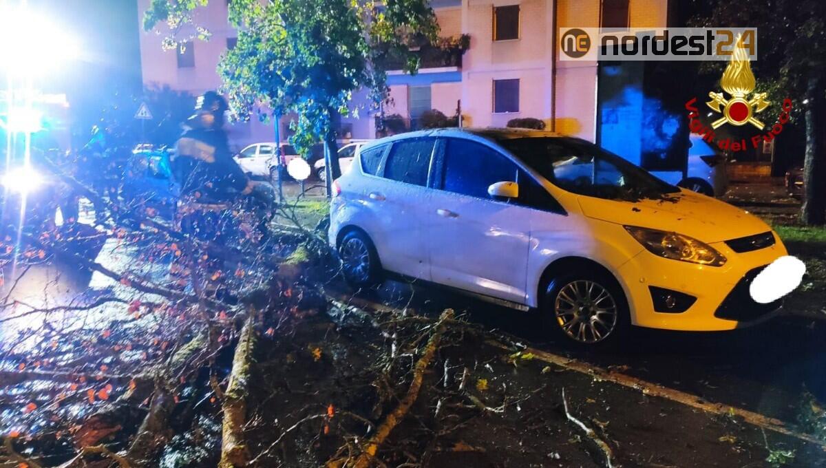 Maltempo in Fvg: oltre 40 interventi oggi dei vigili del fuoco - 
