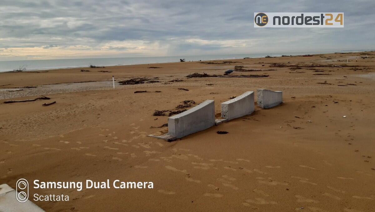 Bibione, via i detriti dalla spiaggia entro fine anno. Nasce l’idea delle amofile - 