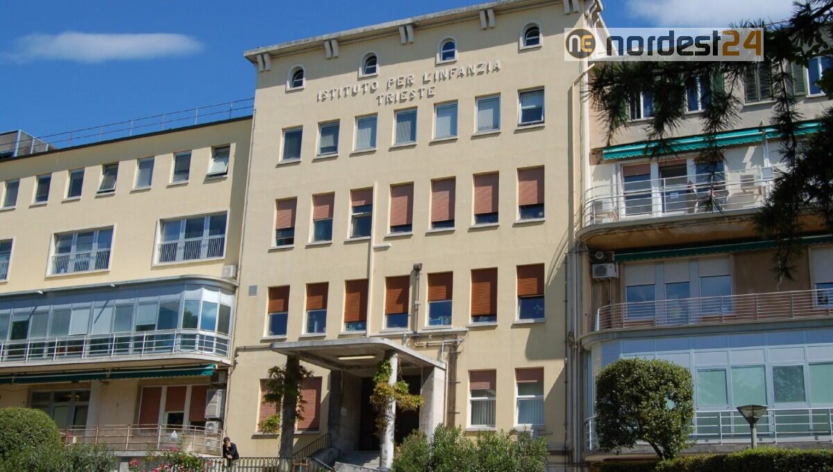 Burlo, lo studio: l’allergia all’uovo guarisce prima mangiando biscotti all’uovo - 