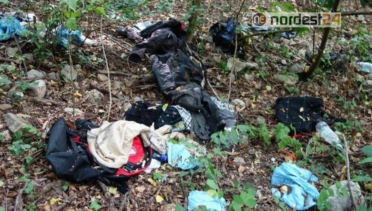 Fvg, vestiti e rifiuti nei boschi della rotta balcanica: la Regione paga la pulizia - 