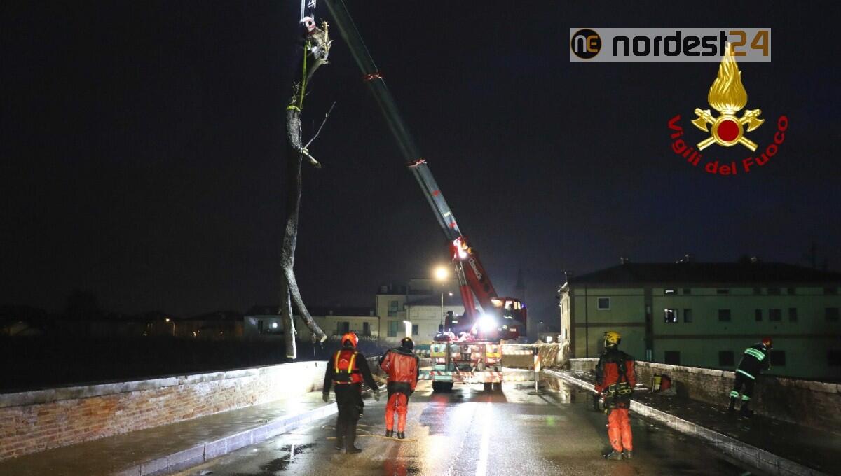 Maltempo, arcate del Ponte a Torri di Quartesolo ostruite da un lungo tronco - 