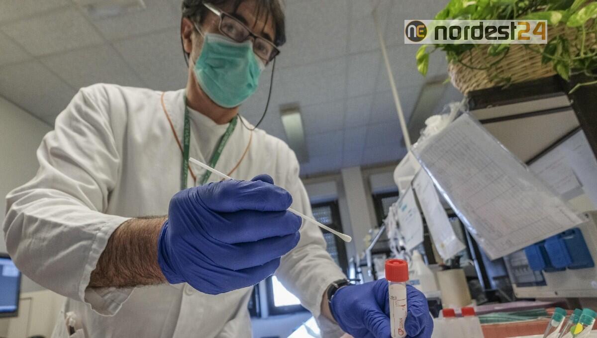 Ispezioni dei Nas in Centri tamponi anti-Covid: irregolari o abusivi 1 su 4 - 