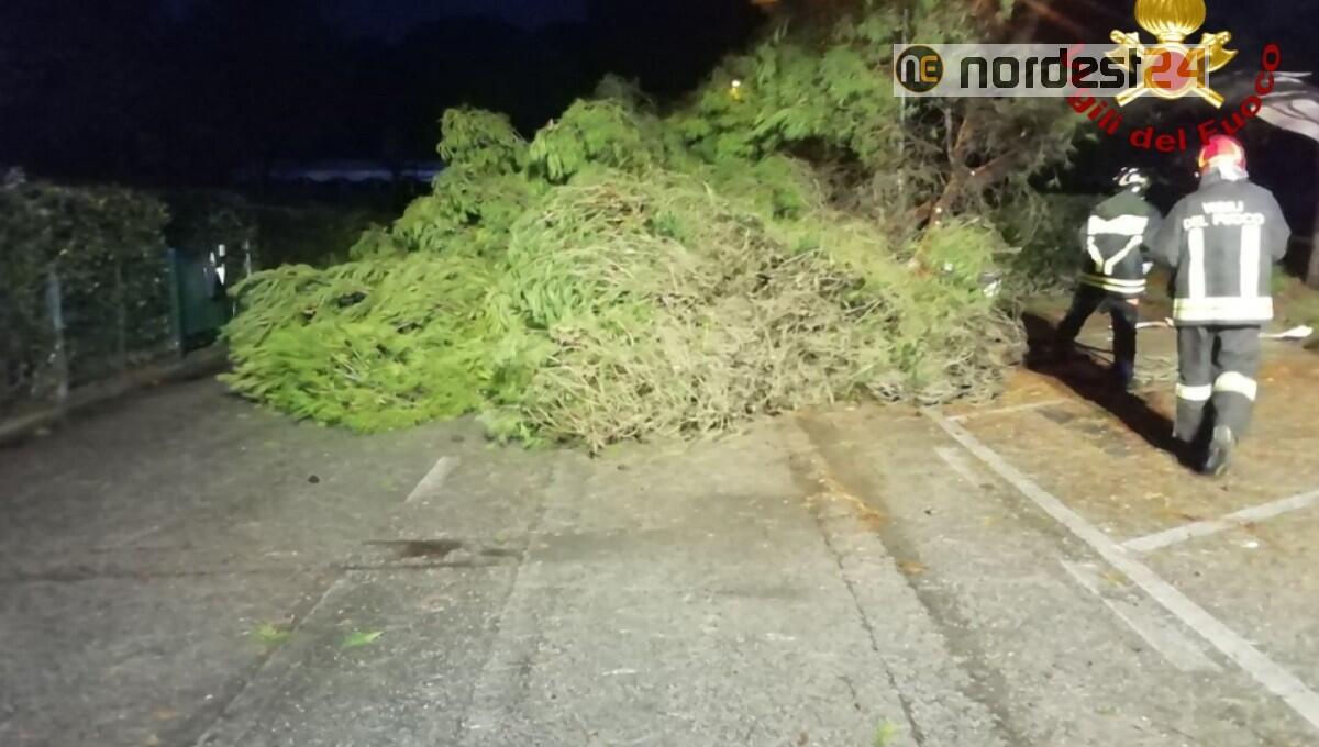 Maltempo in Fvg: maxi lavoro oggi per i vigili del fuoco - 