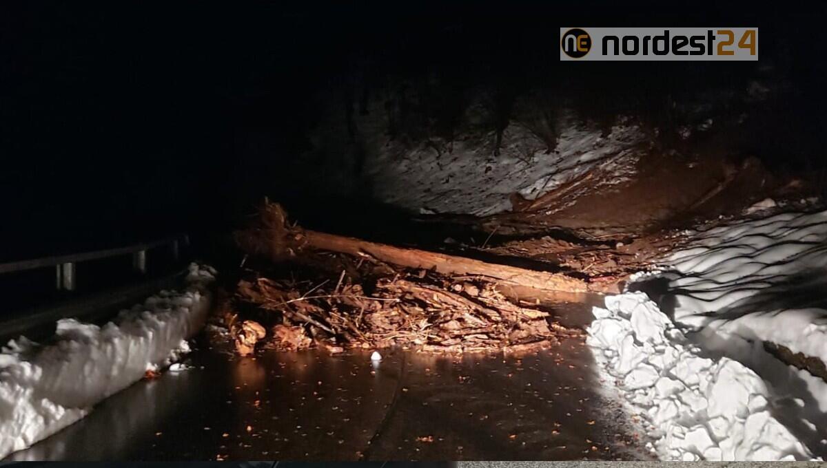 Maltempo, frane e strade allagate in provincia di Belluno: ecco l'elenco - 