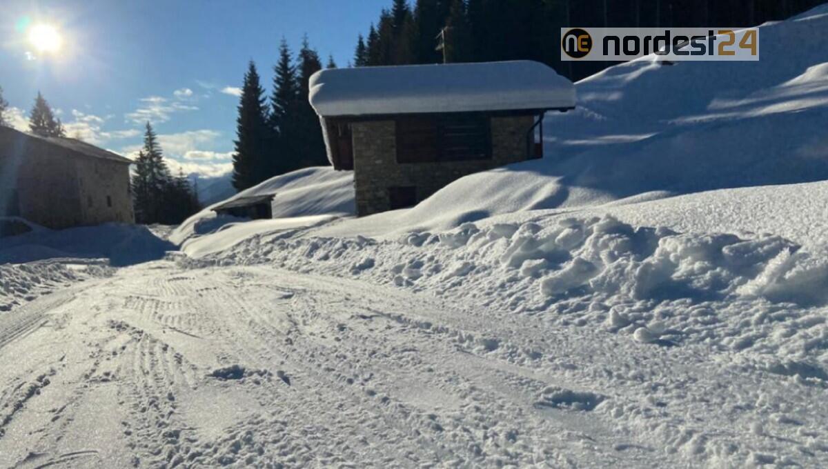 A Forni di Sopra battute le piste per le malghe Tartoi e Tragonia - 