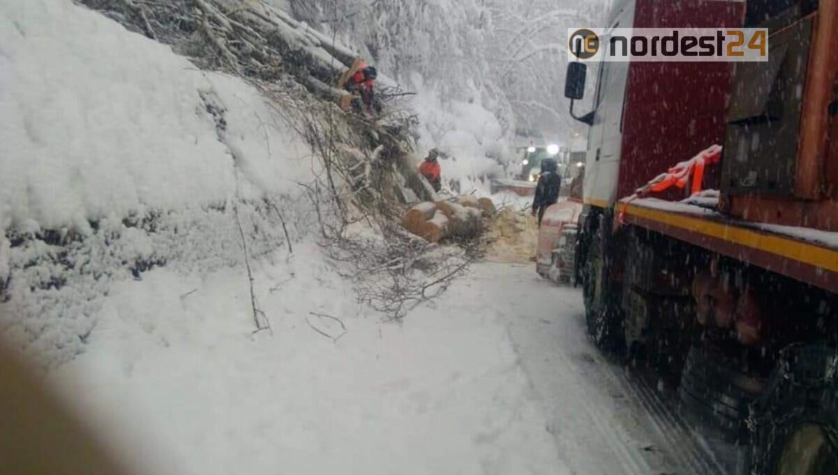 Fvg, nevicate e piogge intense: il bollettino sulle principali strade con criticità - 