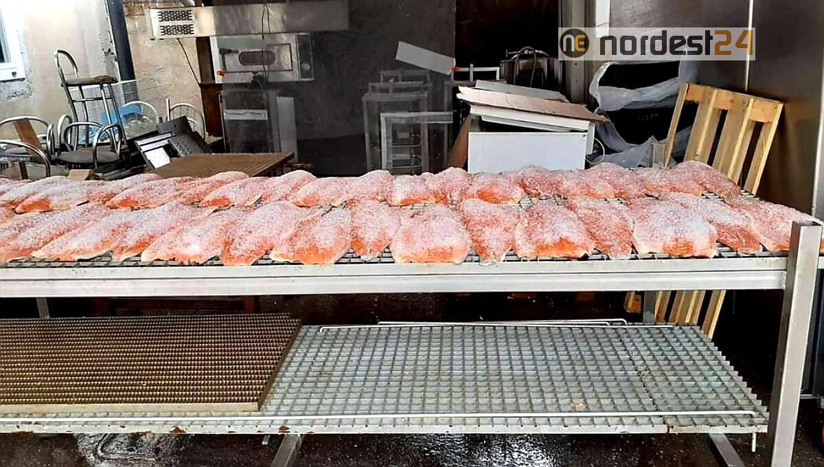 Pesce affumicato in un capannone edile: maxi sequestro a San Dorligo della Valle - 