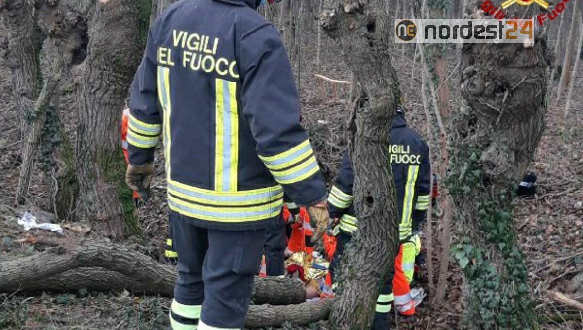 Codroipo. Si infortuna mentre taglia delle piante: elitrasportato all'ospedale - 