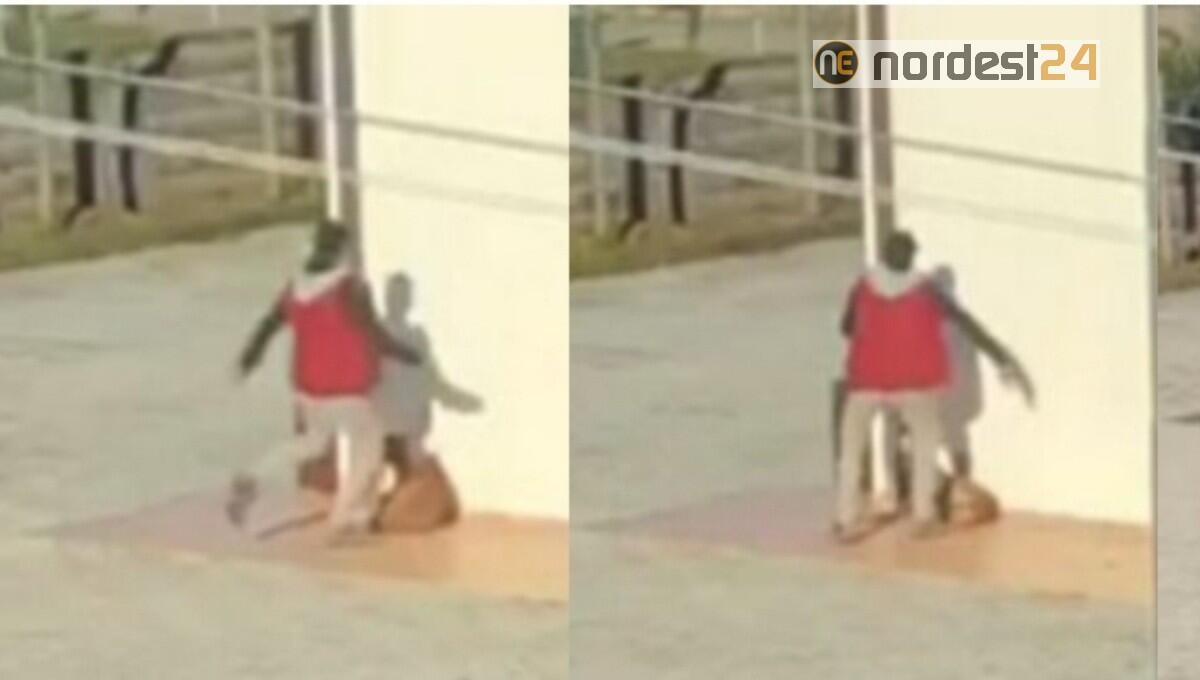 Cagnolina presa a calci per punizione: denunciato il proprietario - 