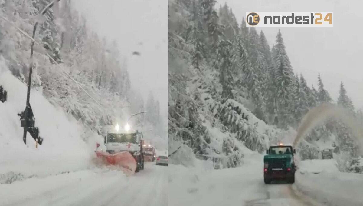 Veneto, nevicate e pericolo valanghe: chiuso il Passo Giau e Cimabanche - 