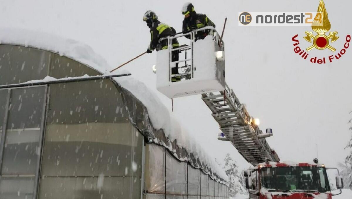 Troppa neve, crolla un tendone agricolo a Claut (PN): nessun ferito - 
