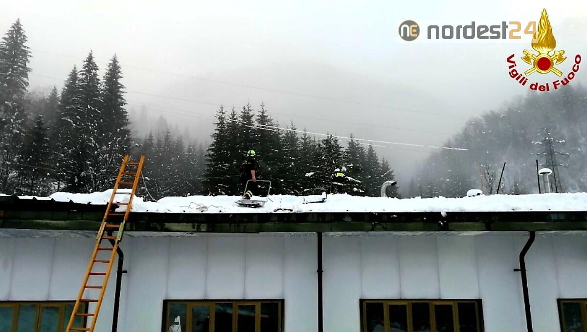 Fvg. Rimozione neve, alberi e strutture pericolanti: ecco i principali interventi dei pompieri - 