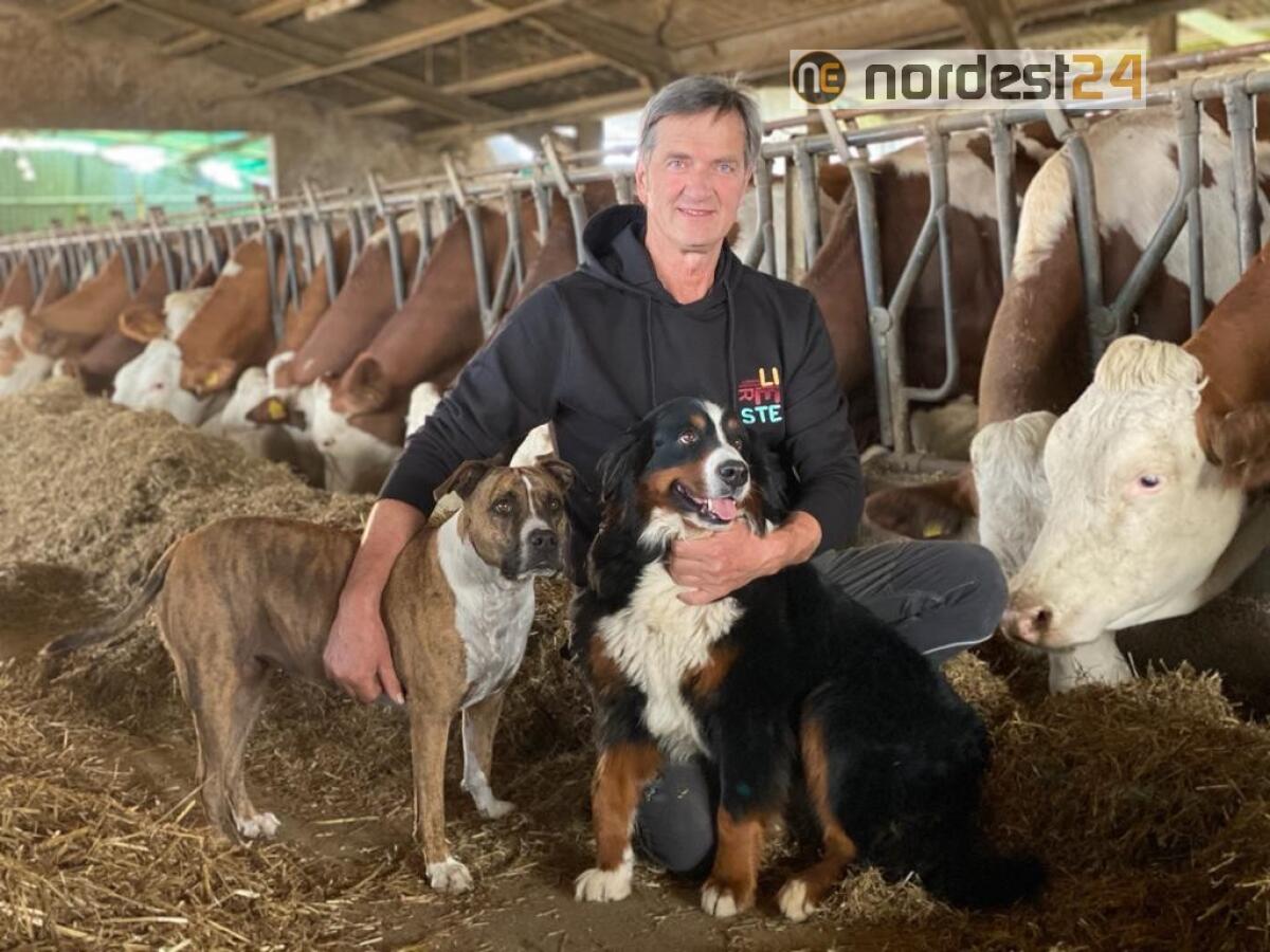 Allevatori Fvg, bilancio 2020: crollato il prezzo di latte e carne - 