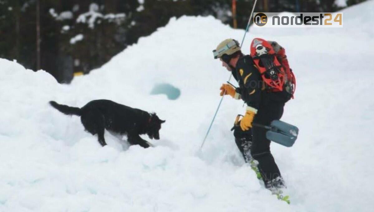 Si stacca una valanga a 1850 metri: coinvolto un gruppo di scialpinisti - 
