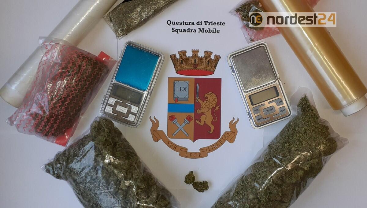 Detenzione di marijuana a fini di spaccio: 4 indagati, uno tratto in arresto - 