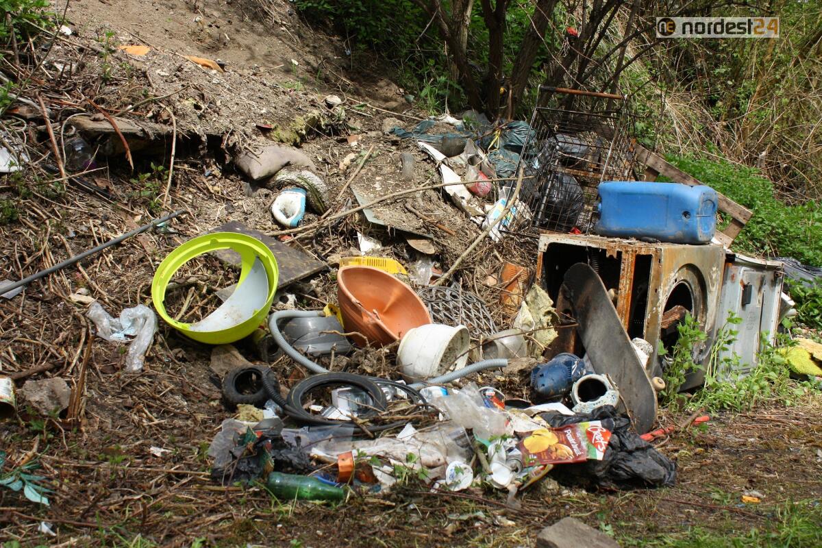Presentati in Fvg i dati Ecomafia 2020: aumentano i reati contro l’ambiente - 