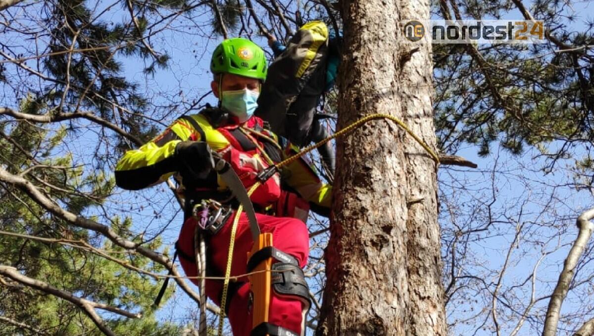Precipita con il parapendio e rimane sospesa tra gli alberi - 