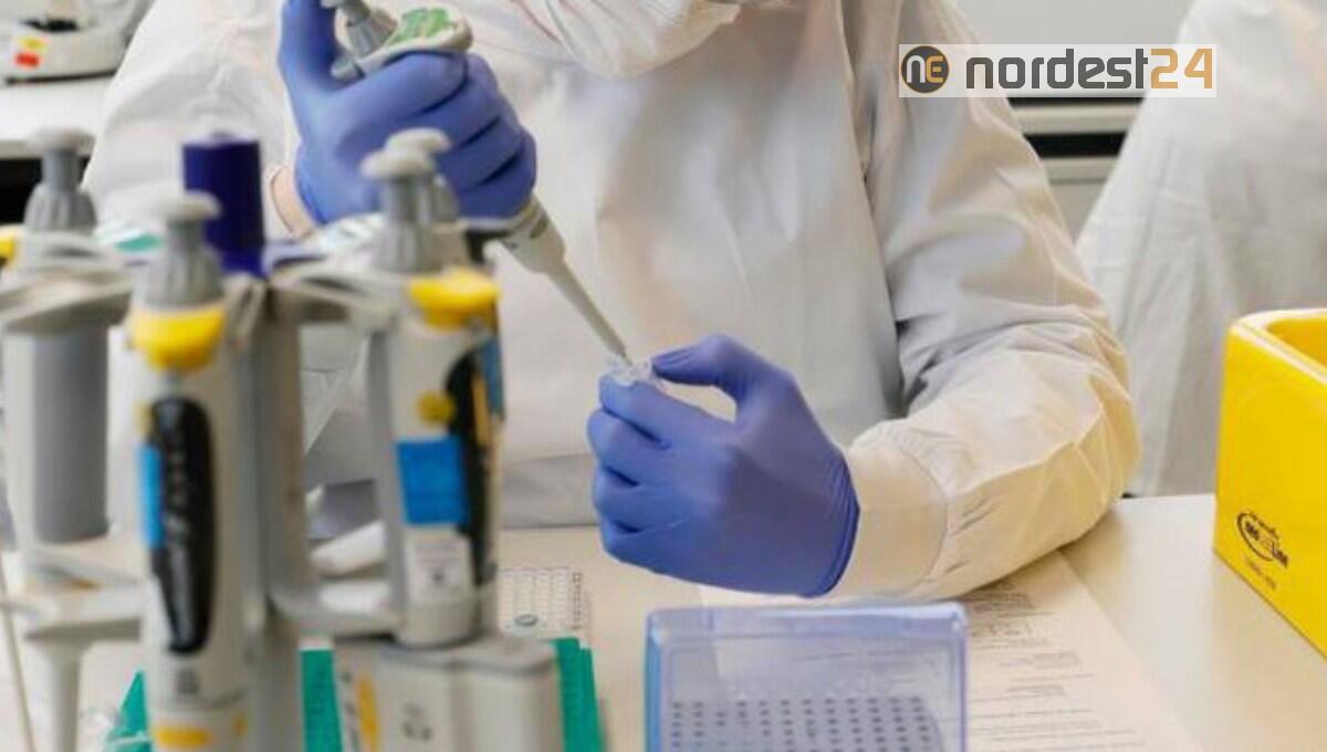 Covid, in Fvg al momento nessuna variante brasiliana e sudafricana - 