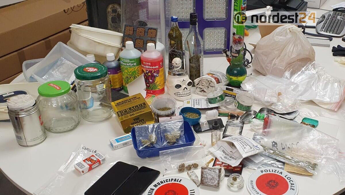 Bibione. Droga, brillante operazione della Polizia locale contro lo spaccio - 
