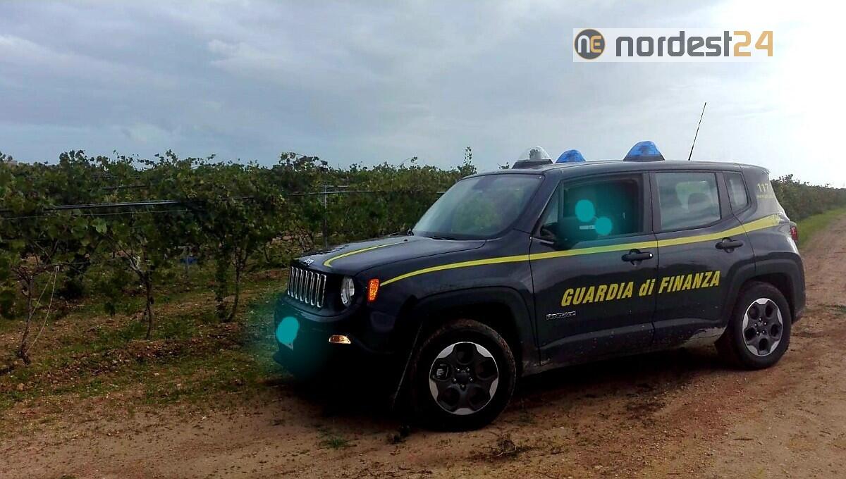Blitz in due aziende agricole: 14 i lavoratori in nero - 