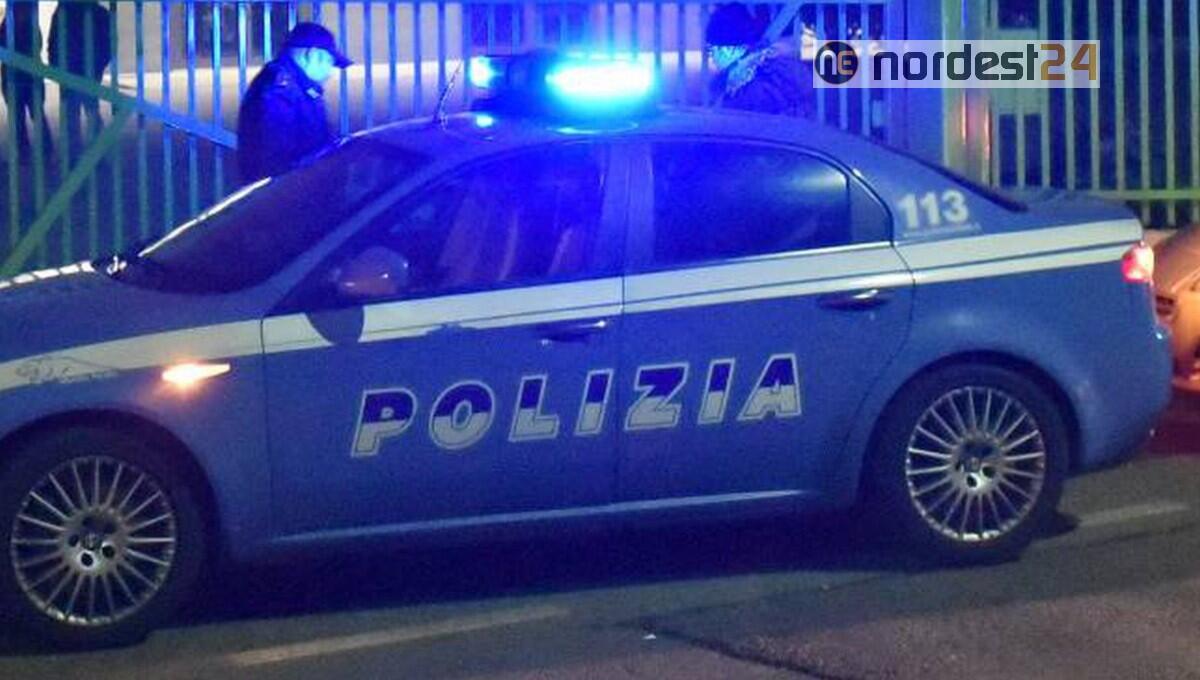 Furti in aziende agricole in provincia di Venezia e Treviso: arrestato 28enne romeno - 