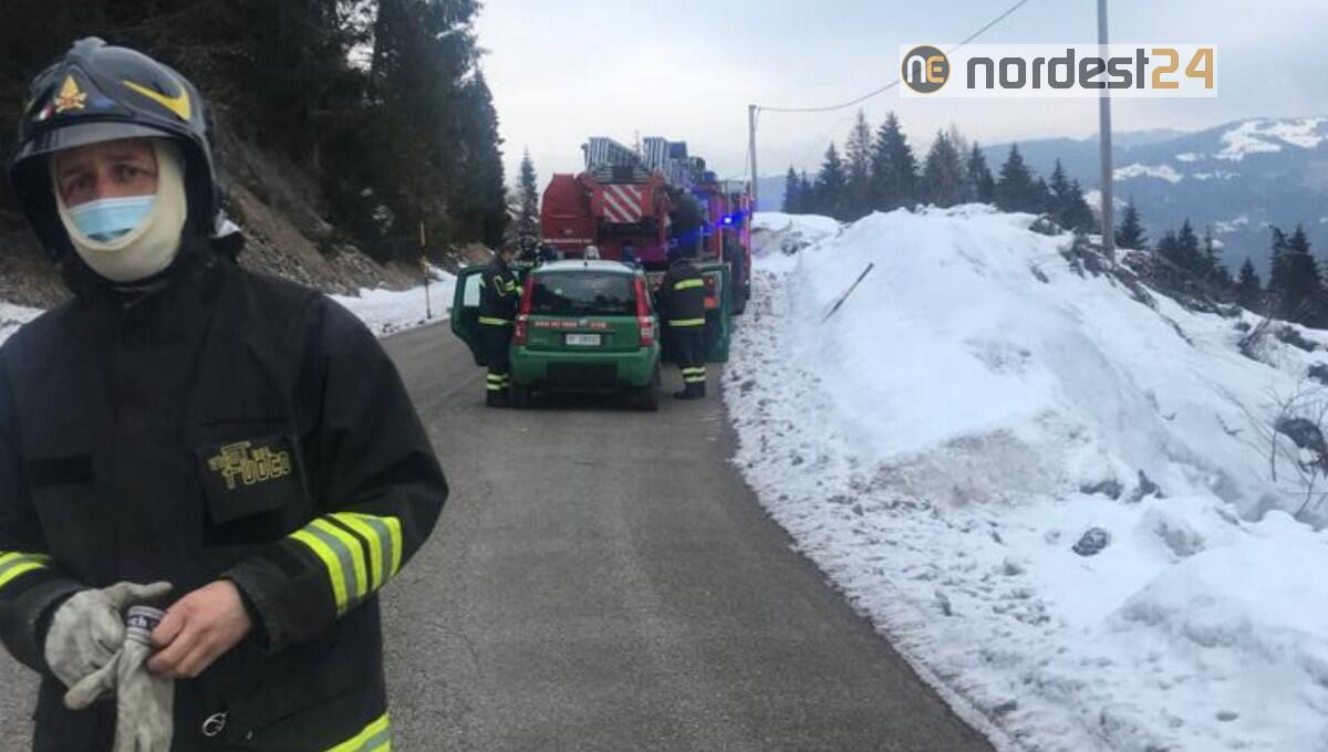 Abete cade sui cavi elettrici:  intervento dei vigili del fuoco - 