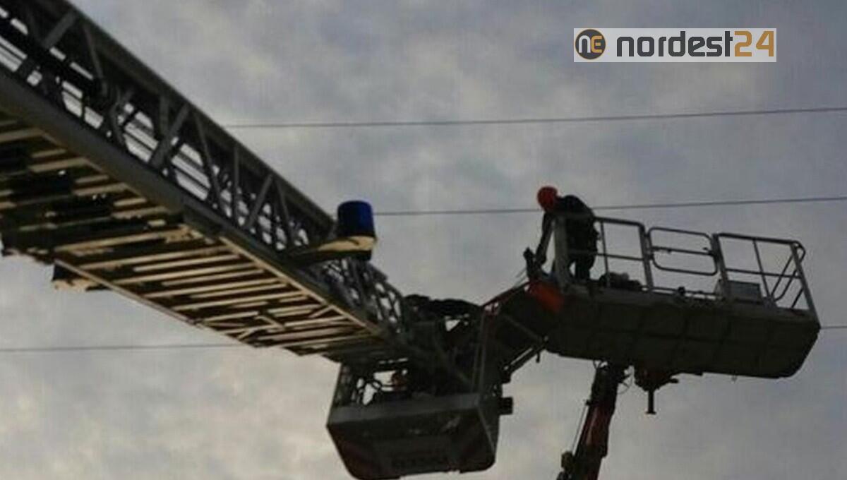 Tragedia a Concordia Sagittaria: morto folgorato Davide Doratiotto - 