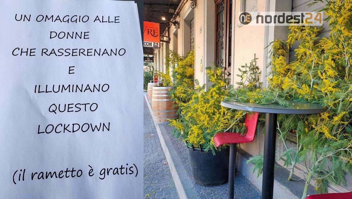 Addobbano le serrande abbassate del Bar donando un ramo di mimosa in segno di speranza - 