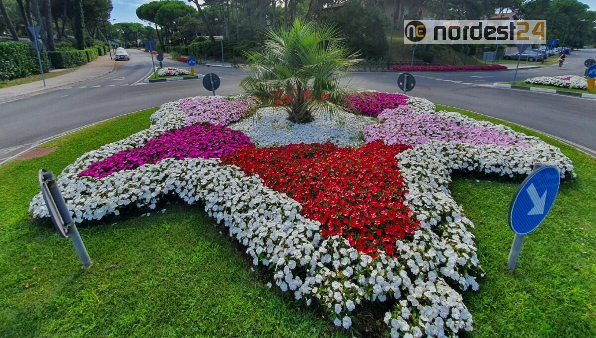 Assegnato a Lignano il prestigioso riconoscimento “Tree City of the World” - 
