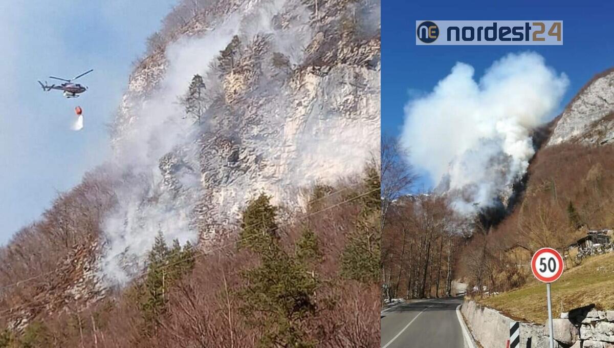Incendio boschivo in località Mezzocanale in comune di Val di Zoldo - 