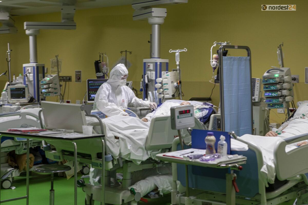 Covid, Assessore Emilia Romagna: tutti in apprensione per 11enne ricoverata - 