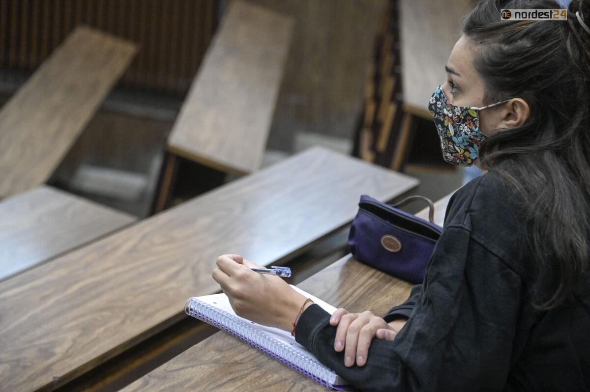 Fvg. Università, Rosolen: circa 450mila euro per studenti in affitto 2020 - 