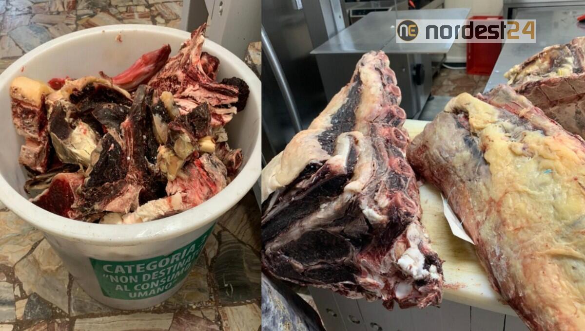 Salta la corrente, quintali di carne da buttare, ma Enel non risarcisce la macelleria - 