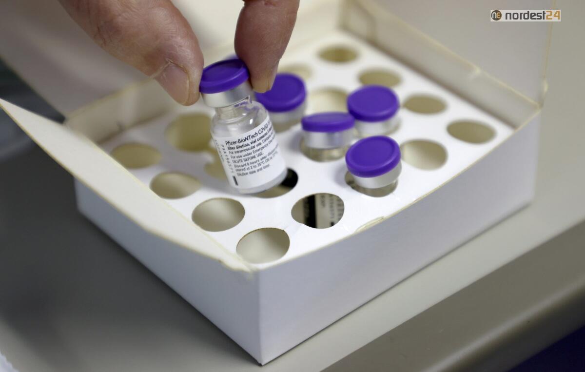 Vaccini: in Veneto 5% popolazione ha completato richiami - 