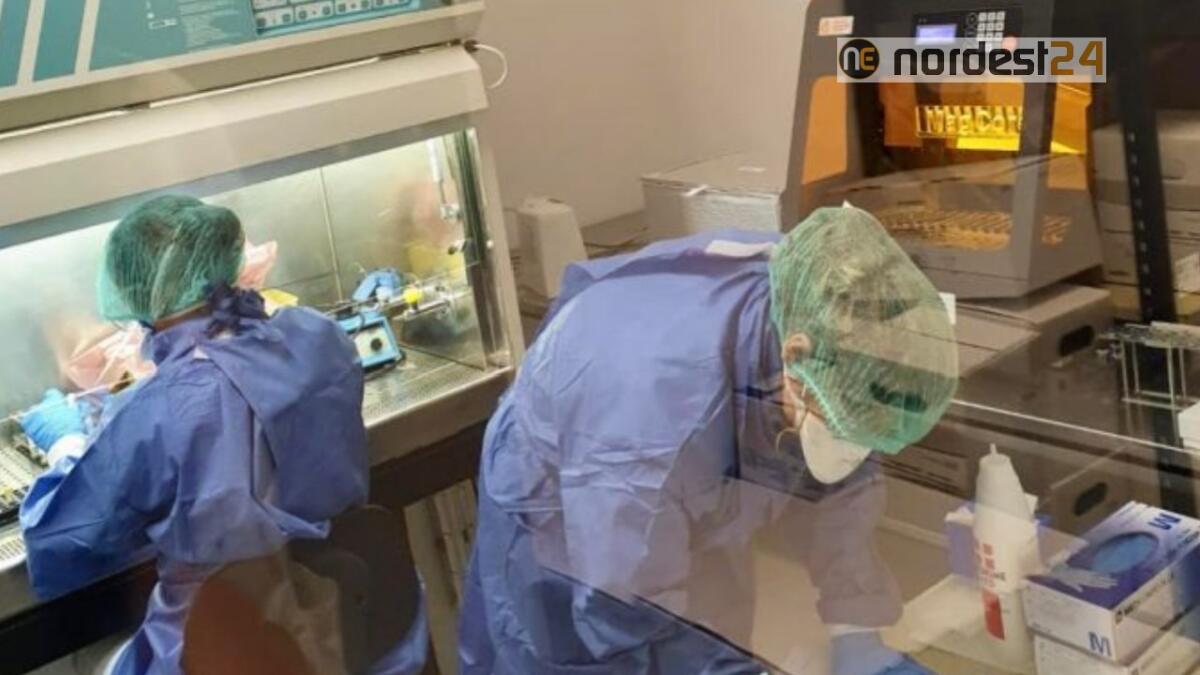 Covid, allarme Alto Adige per la variante sudafricana: tanti giovani ricoverati - 