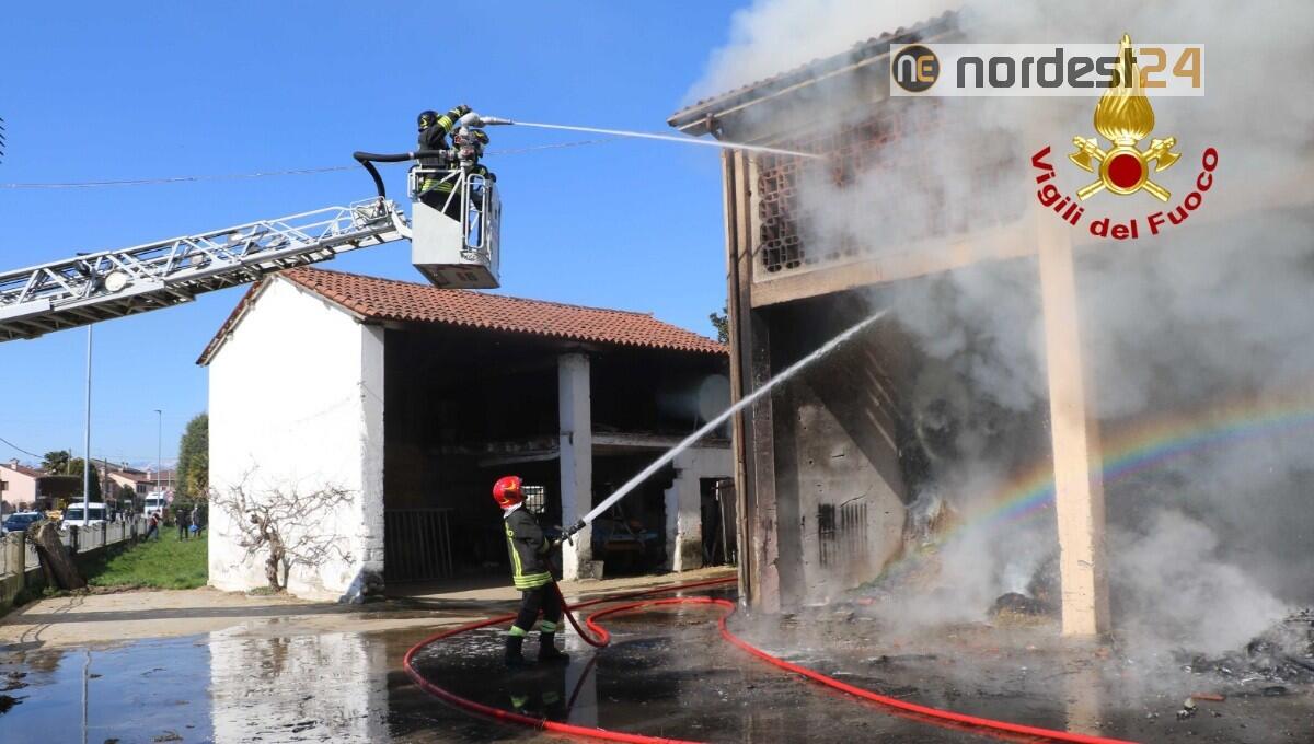 Vasto incendio in un'azienda agricola: animali in salvo - 