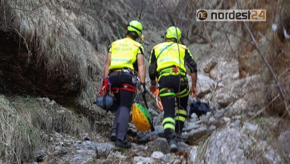 Persi da 2 giorni tra i monti: i Vigili del Fuoco salvano due cani - 