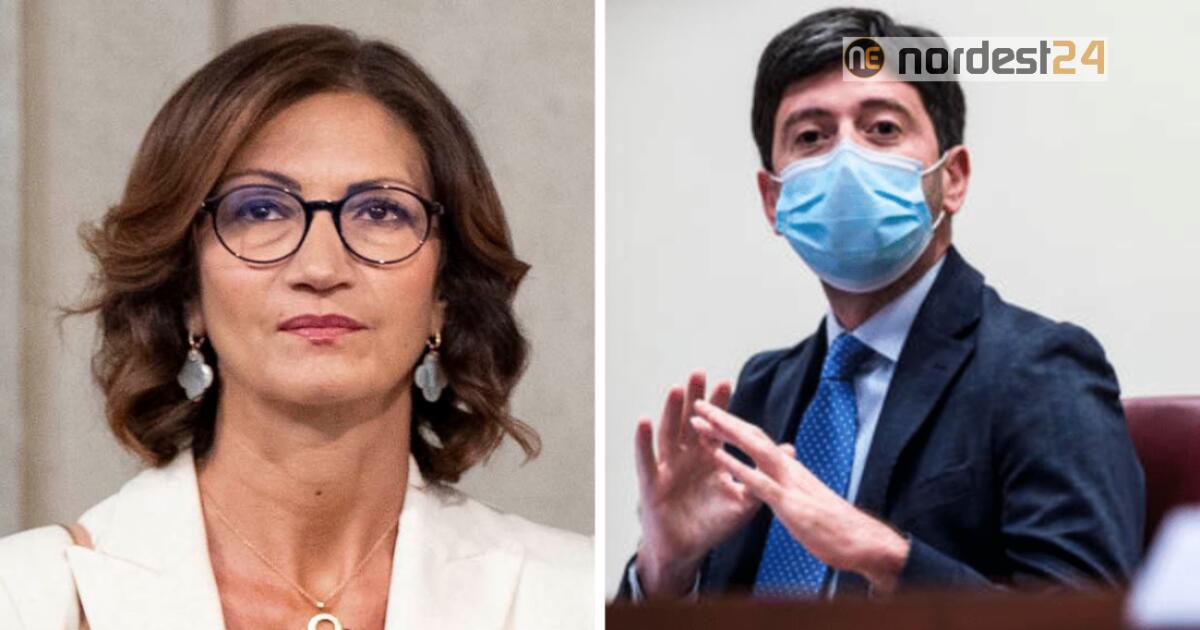 Vaccini, Gelmini: Venerdì Governo-Regioni-Curcio-Figliuolo - 